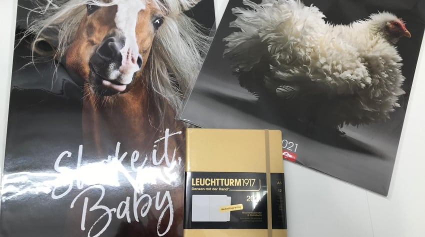 Kalender 2021 jetzt bei Buch und Papier Dodt